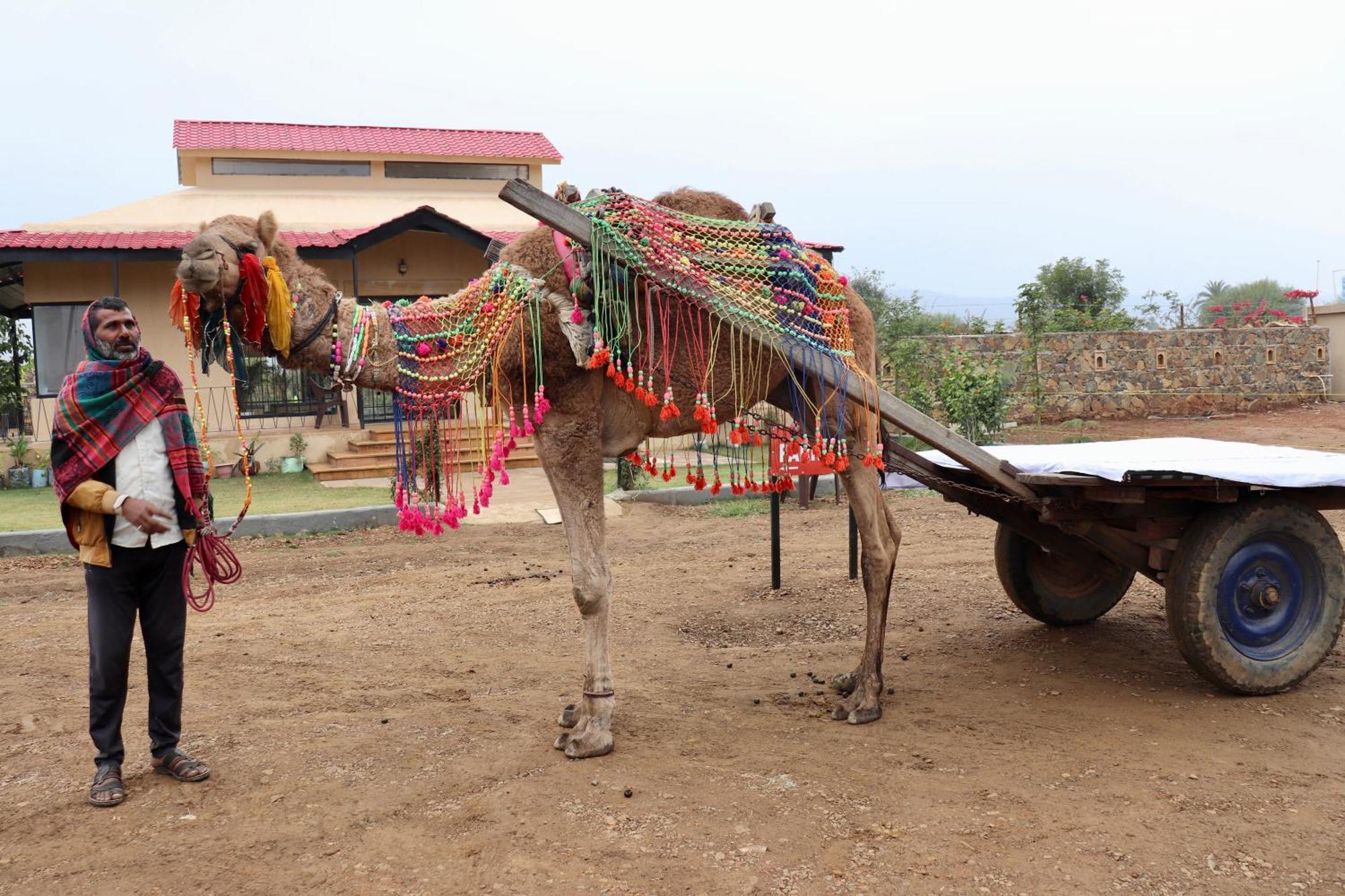 Meladin Sariska Villa Tehla ภายนอก รูปภาพ